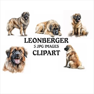Leonberger Clipart Bundle - 5 High Quality Vibrant JPGs, Printable Planner Crafting, Commercial Use Included, Digital Download
