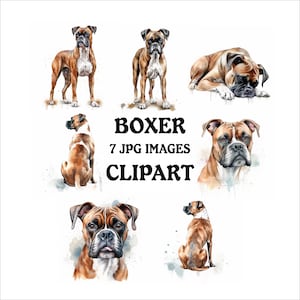 Boxer Clipart Bundle - 7 High Quality Vibrant JPGs, Printable Planner Crafting Journaling, Commercial Use Included, Digital Download