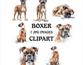May include: Watercolor clipart featuring seven images of Boxer dogs in various poses. The dogs are depicted in shades of brown and white, with detailed facial features and body structures. The text "BOXER 7 JPG IMAGES CLIPART" is also included.