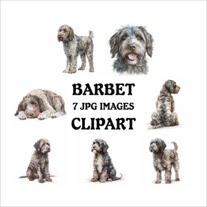 Barbet Clipart Bundle - 7 High Quality Vibrant JPGs, Printable Planner Crafting Journaling, Commercial Use Included, Digital Download