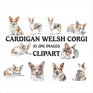 Cardigan Welsh Corgi Clipart Bundle - 10 High Quality Vibrant JPGs, Printable Planner Crafting, Commercial Use Included, Digital Download