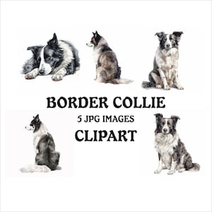 Border Collie Clipart Bundle - 5 High Quality Vibrant JPGs, Printable Planner Crafting Journaling, Commercial Use Included, Digital Download