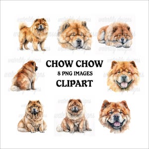 Chow Chow Clipart Bundle -8 High Quality Vibrant PNGs, Printable Planner Crafting, Commercial Use Included, Digital Download