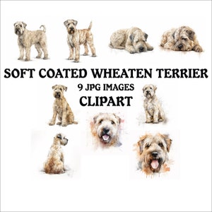 Soft Coated Wheaten Terrier Clipart Bundle - 9 High Quality JPGs, Printable Planner Crafting, Commercial Use Included, Digital Download