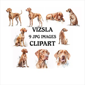 Vizsla Clipart Bundle - 9 High Quality Vibrant JPGs, Printable Planner Crafting, Commercial Use Included, Digital Download