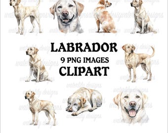 Pakiet clipartów z labradorem: 9 akwarelowych obrazów PNG z psami (do pobrania w wersji cyfrowej)