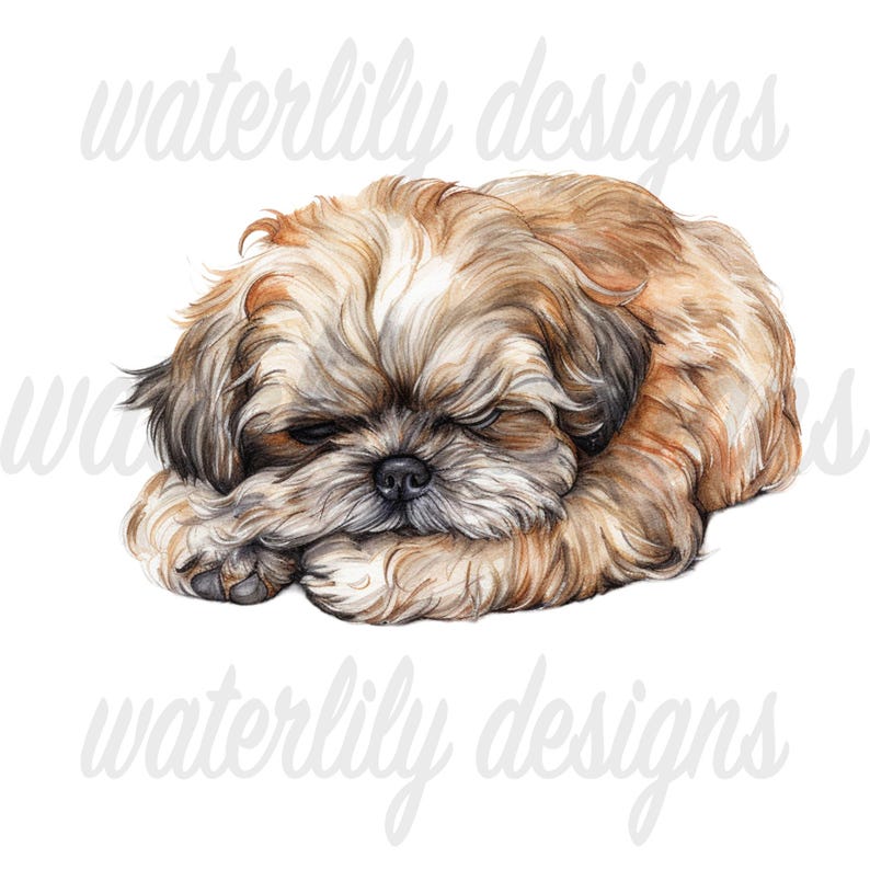 Peekapoo Clipart Bundle: Watercolor Dog Pngs (digital Download) - Etsy