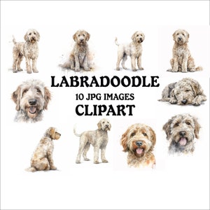 Labradoodle Clipart Bundle - 10 High Quality Vibrant JPGs, Printable Planner Crafting, Commercial Use Included, Digital Download