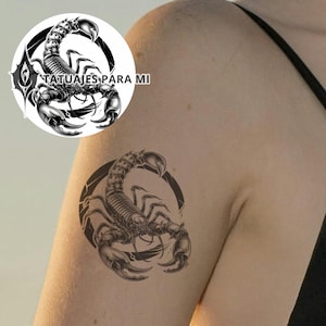Cuatro diseños de tatuajes de escorpio, diseños digitales, colección del zodiaco.
