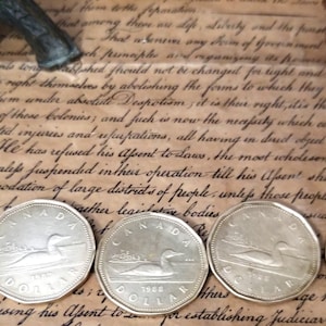Zirkulierte Loonie Ein Dollar kanadische Münze. Lot 5 Stück.
