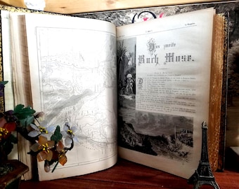 Antique German Bible: Heilige Schrift, Martin Luther Edition, Illustrated