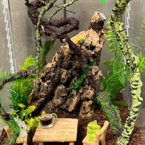 Jumping Spider Decoration Kit, vivarium decoration, Viv decor, jumping spider accessories, invertebrate,