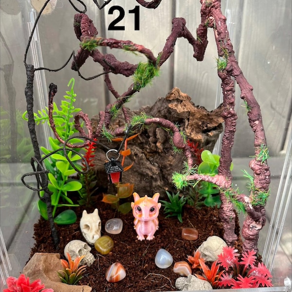 Jumping Spider Decoration Kit, vivarium decoration, Viv decor, jumping spider accessories, invertebrate,