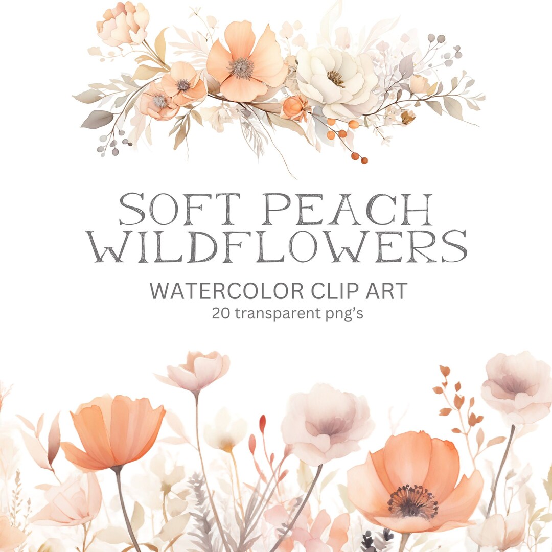 Wildflower Watercolor Clipart Bohemian Floral Clipart Fall Flowers ...