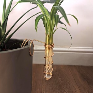 Propagation Side Kick - Copper Coloured With Test Tube
