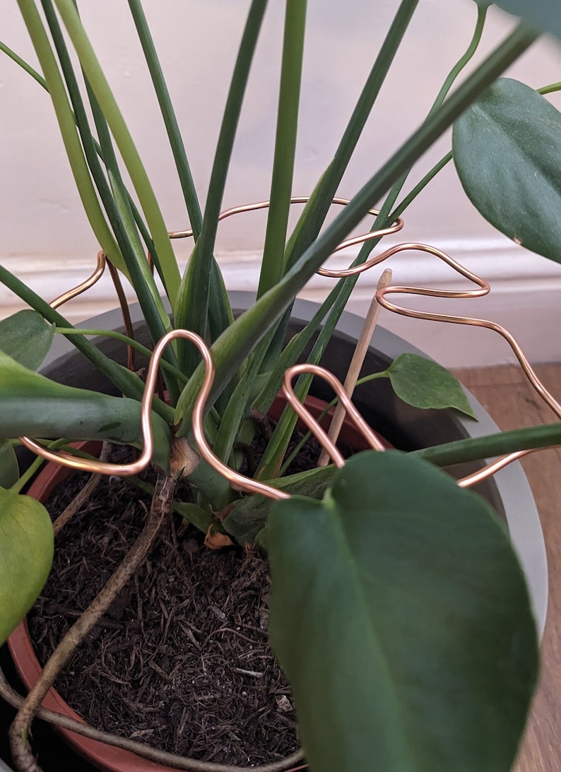 Monstera Shaped Plant Support Copper Coloured Etsy UK
