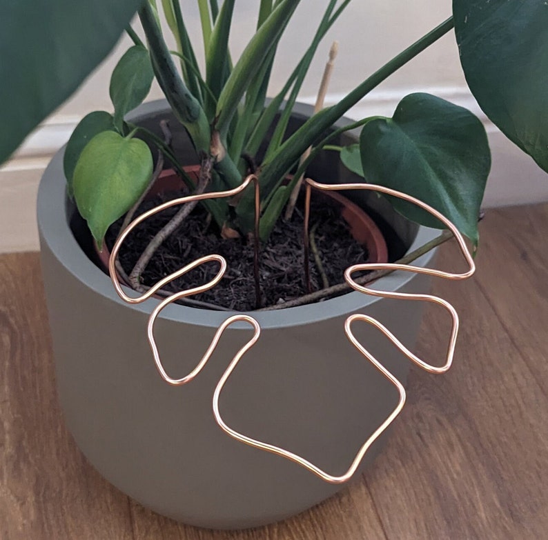 3 X Monstera Shaped Plant Support Copper Coloured Etsy