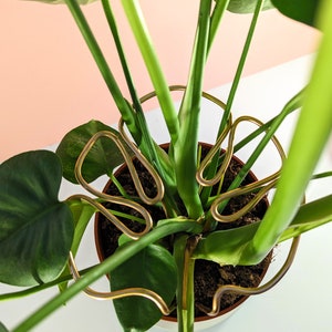 Può includere: Un supporto per piante in metallo dorato a forma di mano, che sostiene una pianta verde con foglie grandi. La pianta è in un vaso marrone.