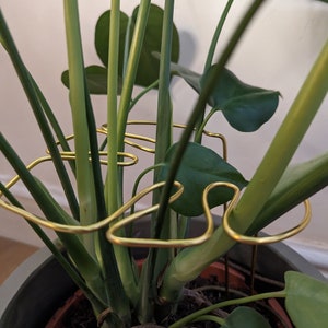 Monstera Shaped Plant Support - Gold Coloured