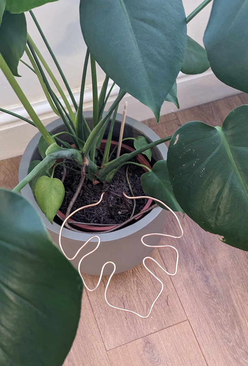 2 X Monstera Shaped Plant Support Copper Coloured Etsy