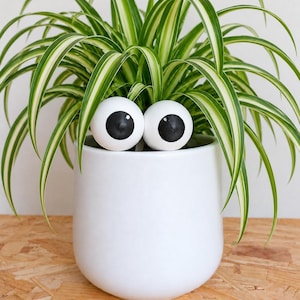 Rolig växttillbehör med googly eyes | Rolig nyhetspresent | Present till växtälskare | 3D-tryckt PLA | Heminredning | Söt inflyttningspresent