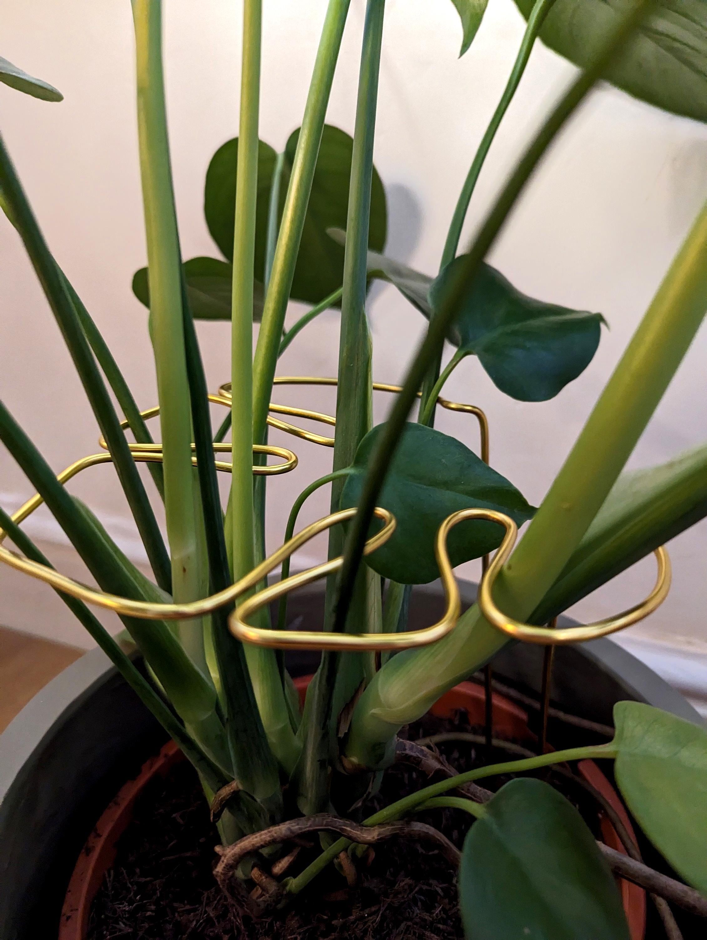 Tiny Plant Decor
