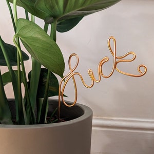 Può includere: Una pianta in vaso con foglie verdi e una scultura in filo dorato che compone la parola "F*CK" in un carattere decorativo.