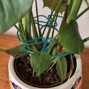 Monstera Leaf Shaped Plant Support - Electric Blue