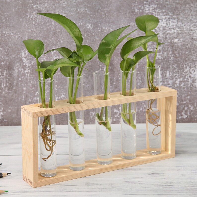 Propagation Station Propagate Plant Propagation Kit Etsy