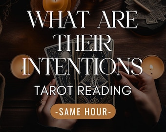 Was sind ihre Absichten Ihnen gegenüber - Same Day Reading - Finden Sie die Wahrheit - Vertiefte Tarot-Lesung