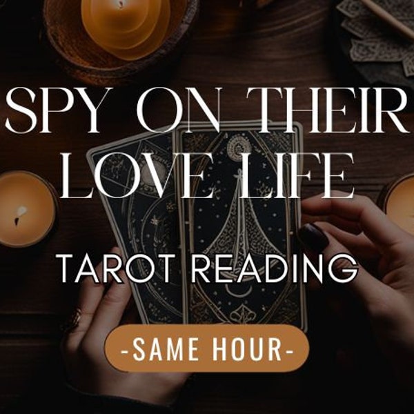 Spy on their love life  - Same Day Reading -  Find the truth - In depth Tarot Reading