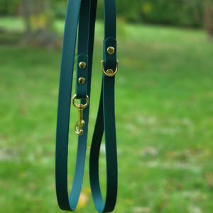 Op de afbeelding: Een teal-kleurige hondenriem met goudkleurige hardware, waaronder een sluiting en klinknagels. De riem hangt aan een tak tegen een wazige groene achtergrond, wat een buitenomgeving suggereert.