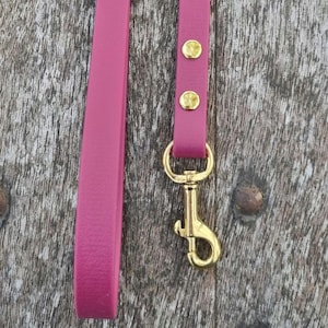 Op de afbeelding: Een close-up van een magenta hondenriem met goudkleurige hardware. De riem is gemaakt van een glad, effen materiaal en heeft een goudkleurige sluiting en twee goudkleurige klinknagels.