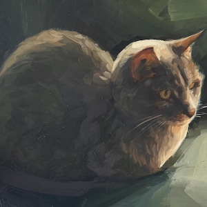 Custom cat oil painting from photo, Custom pet portrait, hand painted using oils, Pet commissions, Gift for cat lover, Pet memorial