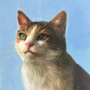 Kattenportret olieverfschilderij van foto, aangepaste huisdierportretten, handschilderijen met olie, huisdierencommissies, cadeau voor kattenliefhebber, huisdiergedenkteken