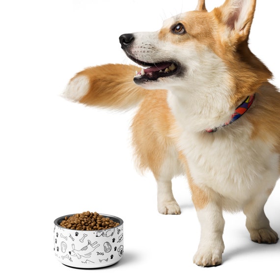 Fun and Patterned Pet Bowl