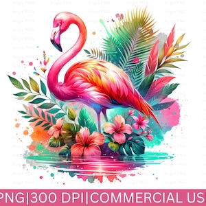 Flamingo PNG, Aquarell Clipart, Flamingo Clipart, Sublimationsdatei, Strand Flamingo Clipart, Sommer PNG, Print On Demand Becher, Rosa Flamingo