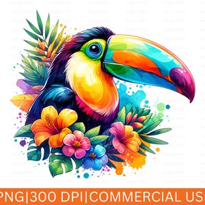 Tukan Clipart, Sommer PNG, Aquarell Clipart, Tropisch PNG, Reise Clipart, Sommer Sublimation, T-Shirt-Design, Strand-Vibes, Sommerstil