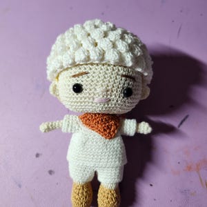 Bangtan BTS JIN RJ bt21 inspired amigurumi doll