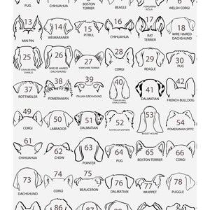 Custom Embroidered Dog Dad Hoodie, Outline Dog Ears Sweatshirt, Embroidered Dog Sweatshirt, Outline Embroidered Sweatshirt, Custom Dog image 5
