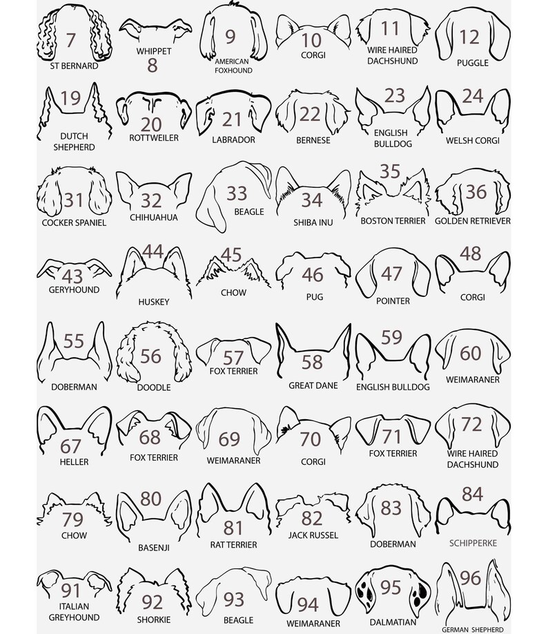 Custom Embroidered Dog Dad Hoodie, Outline Dog Ears Sweatshirt, Embroidered Dog Sweatshirt, Outline Embroidered Sweatshirt, Custom Dog image 6