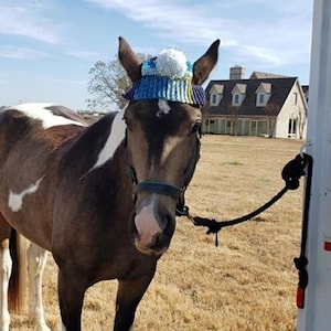 Può includere: Un cavallo marrone e bianco con un cappello di lana blu, bianco e giallo con un pon pon bianco. Il cavallo è in piedi in un campo con erba secca e un rimorchio bianco sullo sfondo.