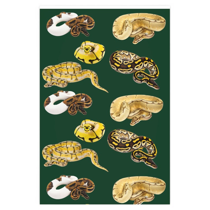 Snake Wrapping Paper, Ball Python Wrapping Paper, Snake Gift Wrap, Ball ...
