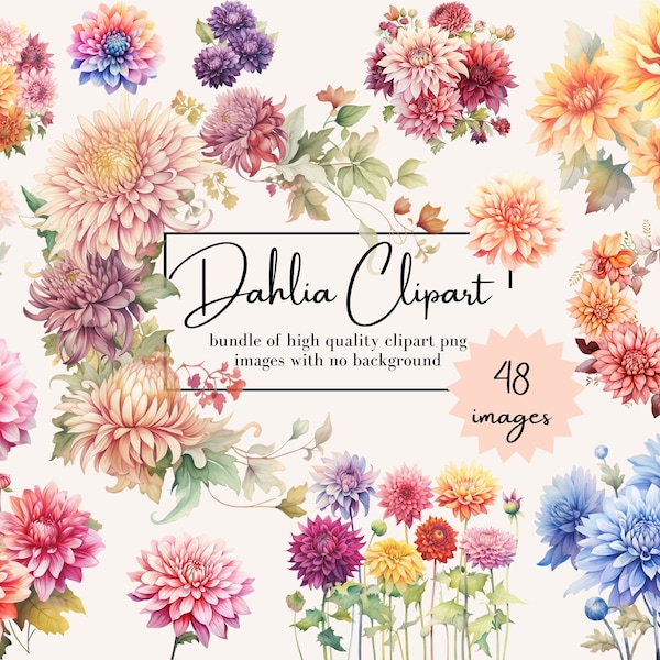 Dahlia Clipart Wild Floral PNG Bundle 48 High Quality Images Floral Clipart Wildflower Watercolor Style Floral Clipart Sublimation