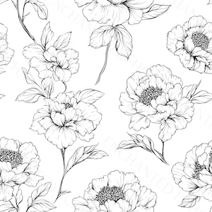 Könnte beinhalten: Schwarz-weiß-Linienzeichnung von Pfingstrosen mit Stielen und Blättern auf weißem Hintergrund. Die Pfingstrosen stehen in voller Blüte und haben ein zartes, filigranes Design.