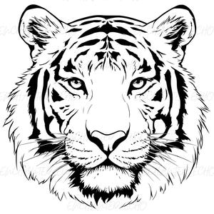 Tiger Face SVG + PNG Set - Tiger Vector Animal Illustration - Tiger Head Cut File - Tiger Mascot Outline for Personal and Commercial Use