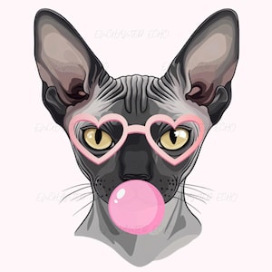 Bulle de chat sphynx rose Png Chat drôle Meme Png Chat nu Png Amoureux des chats Png Chat avec des lunettes de soleil Png Chat sarcastique Png Bubble Gum Png