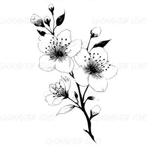 Cherry Blossom SVG And PNG Single File Cherry Branch SVG Delicate Minimalist Modern Svg Cherry svg Cherry Tree Commercial Use High Quality