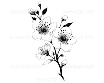 Cherry Blossom SVG And PNG Cherry Branch Sakura Bloom Vector