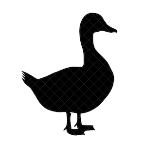 Duck Silhouette SVG + PNG Set
